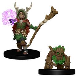 Wardlings - Boy Druid & Tree Creature
