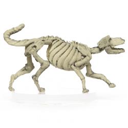 R4i67013-pc Characters Of Adventure Skeleton Wolf Miniature