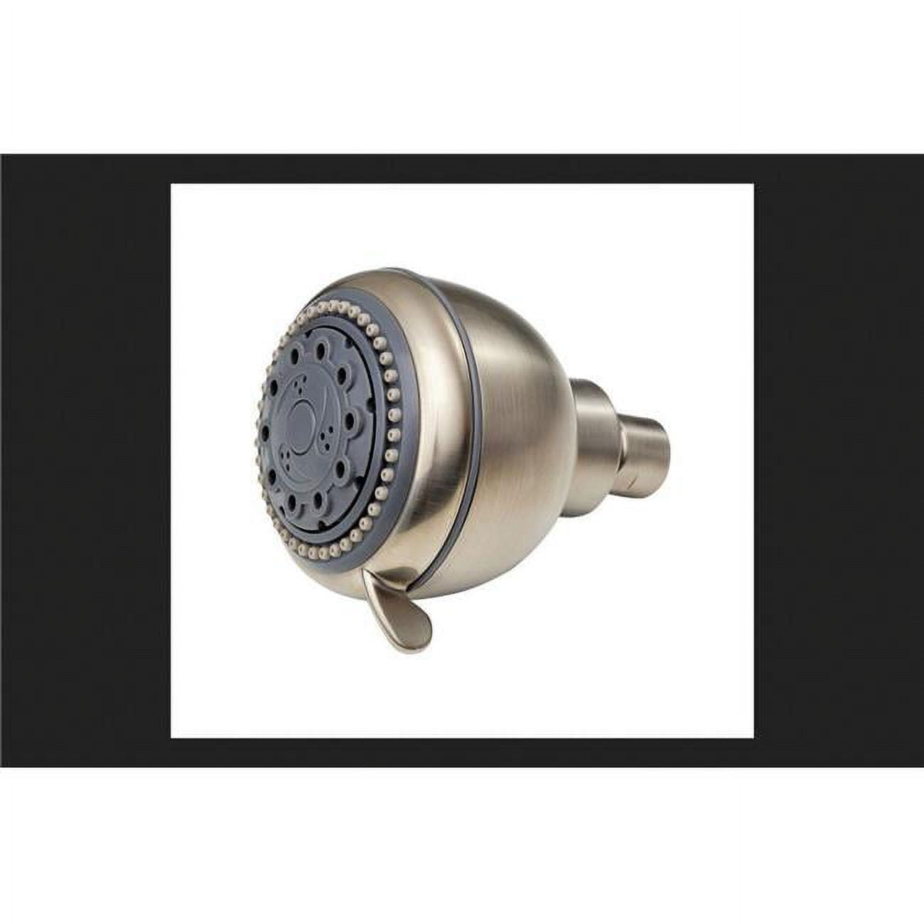 Whedon Fp58c 5 Spray Champagne Shower Head, Brushed Nickel