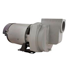4355020 1 Hp 115 V Cast Iron Sprinkler Pump