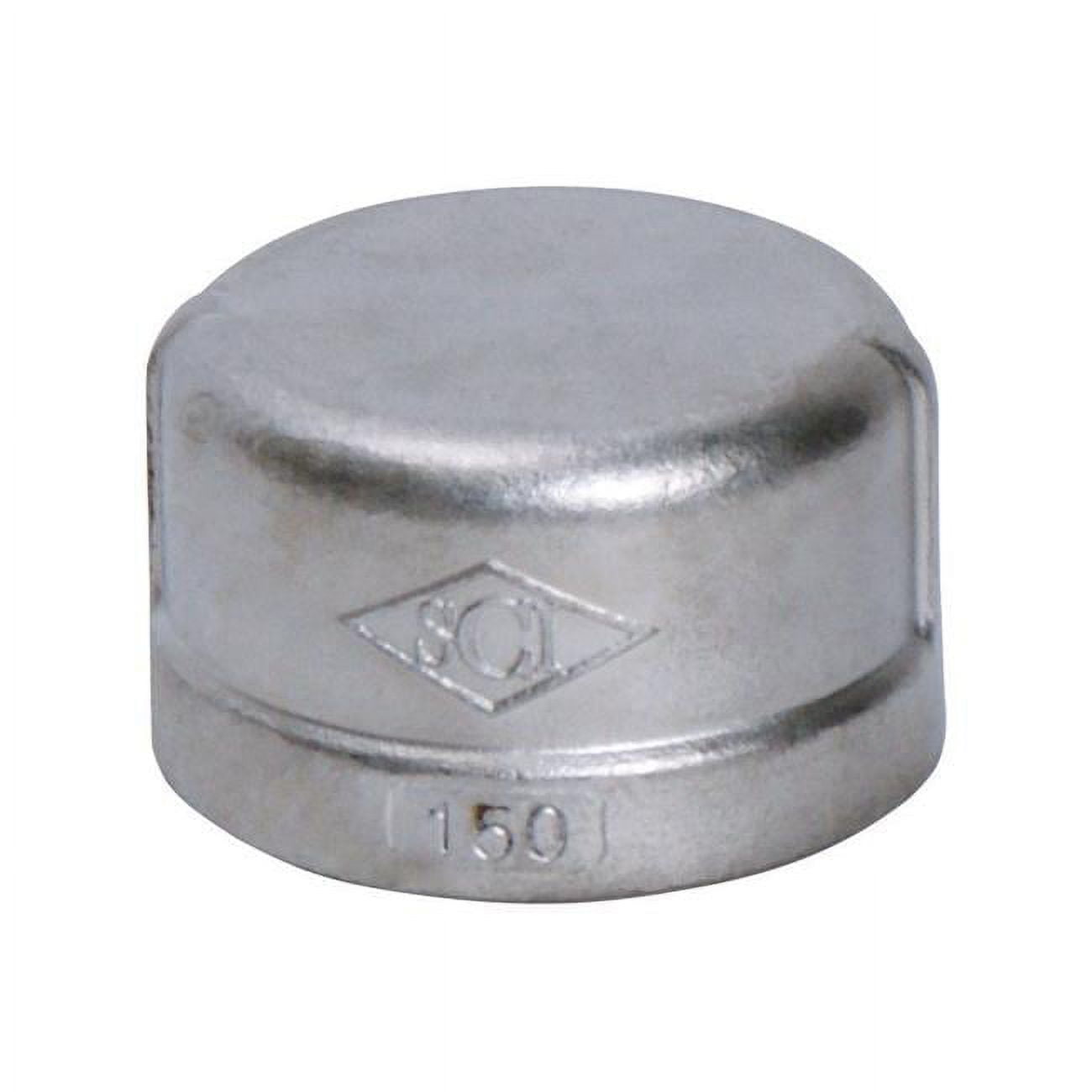 4809950 1 In. Stainless Steel Cap