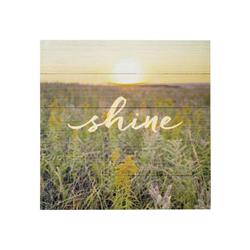 6521496 Scenic Sentiments Shine Wood Plaque, Assorted - Pack Of 2