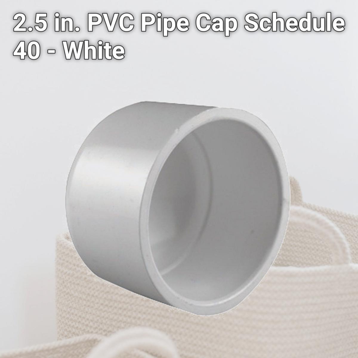 Picture of Charlotte Pipe & Foundry 4007019 2.5 in. PVC Pipe Cap Schedule 40 - White