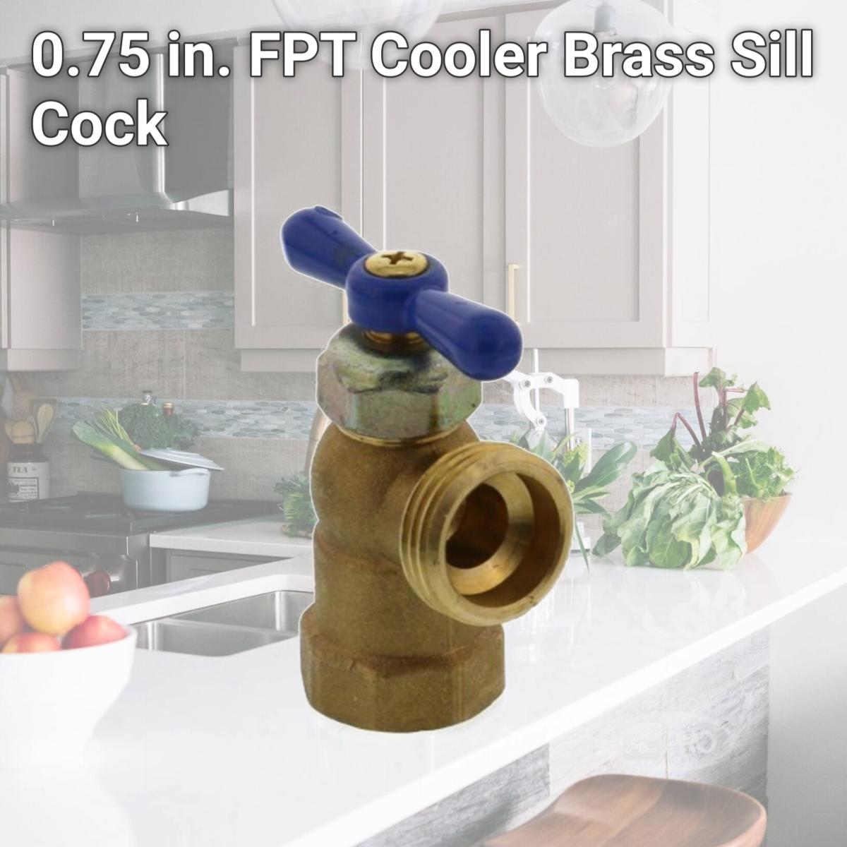 Picture of Dial Manufacturing 4515318 0.75 in. FPT Cooler Brass Sill Cock