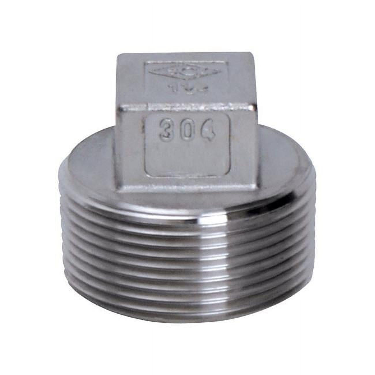 4810677 Stainless Steel Square Head Plug - 1 In. X 1 Dia.