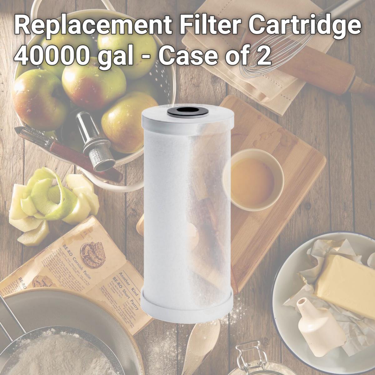 Picture of Omnifilter 4903753 Replacement Filter Cartridge, 40000 gal - Case of 2