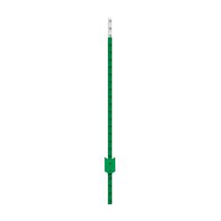 7801293 5.5 Ft. Powder Coated Green Steel Studded T-post, 1.25 Lbs - Case Of 5