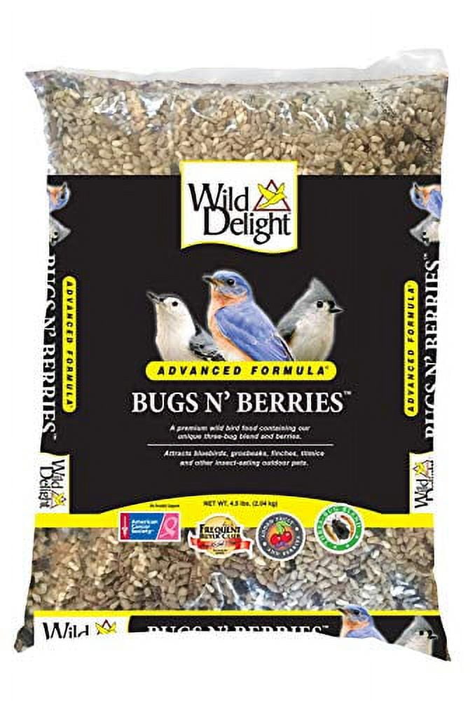 8017728 Bugs N Berries Assorted Species Wild Bird Food Safflower Seeds, 4.5 Lbs