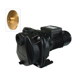 4906731 2 Hp Cast Iron Sprinkler Pump, 4200 Gph