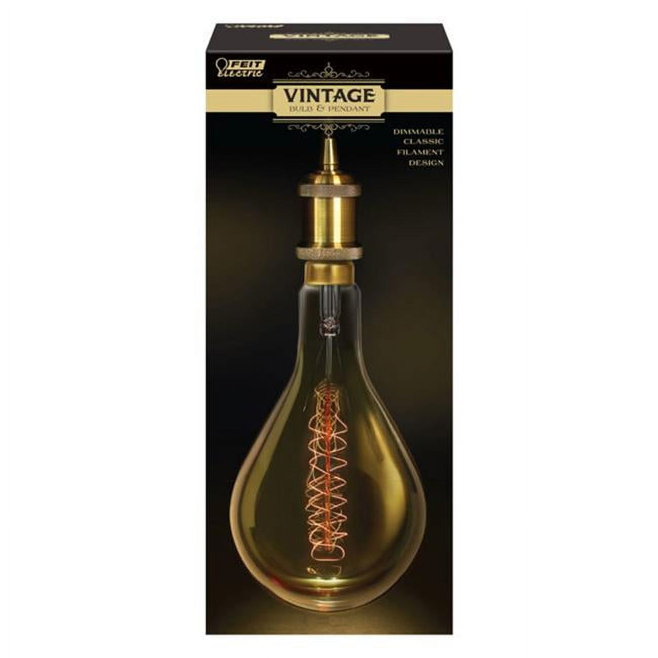 3000112 60 Watt Decorative Vintage Ps52 Incandescent Bulb, Amber