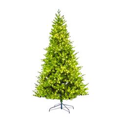 9016949 7 Ft. Prelit Frasier Invisible Wire Fir Tree 1200 Lights, Warm White