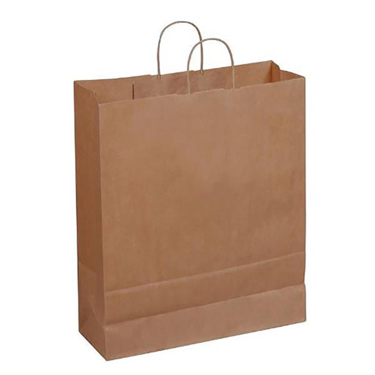 9066925 19.25 X 6 X 16 In. Paper Shopping Bag With Handles - Pack Of 200