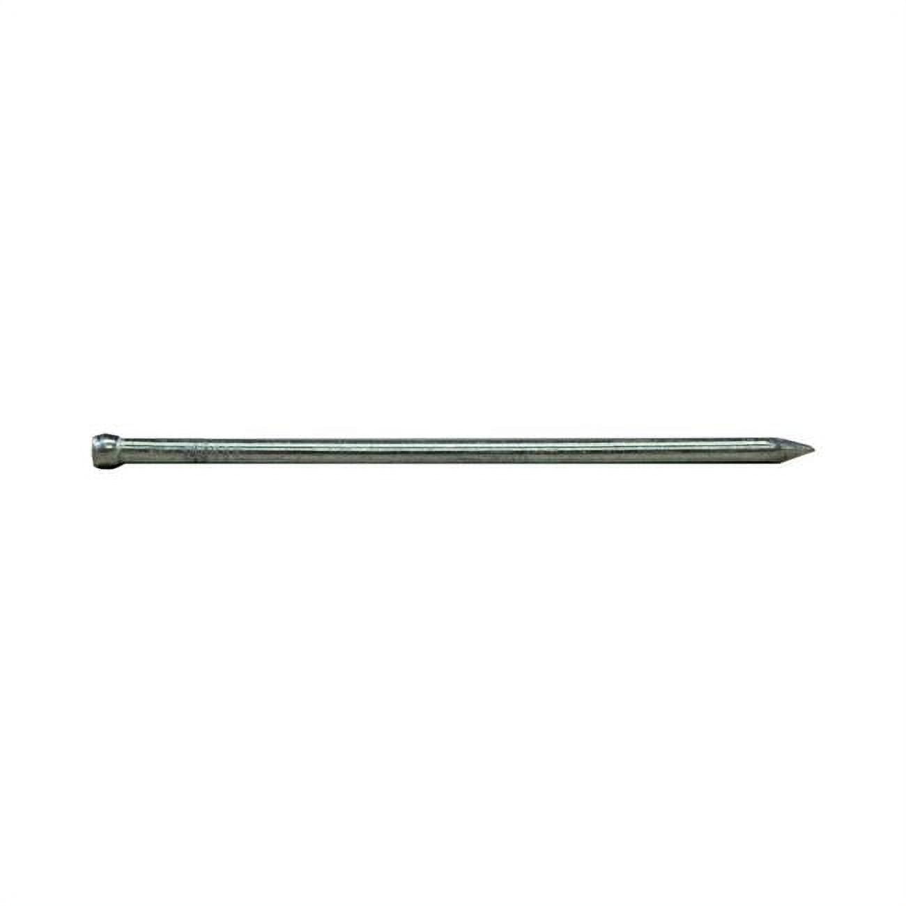 UPC 042928006351 product image for 5692173 2 in. 6D 1 lbs Hedge Finish Nail | upcitemdb.com