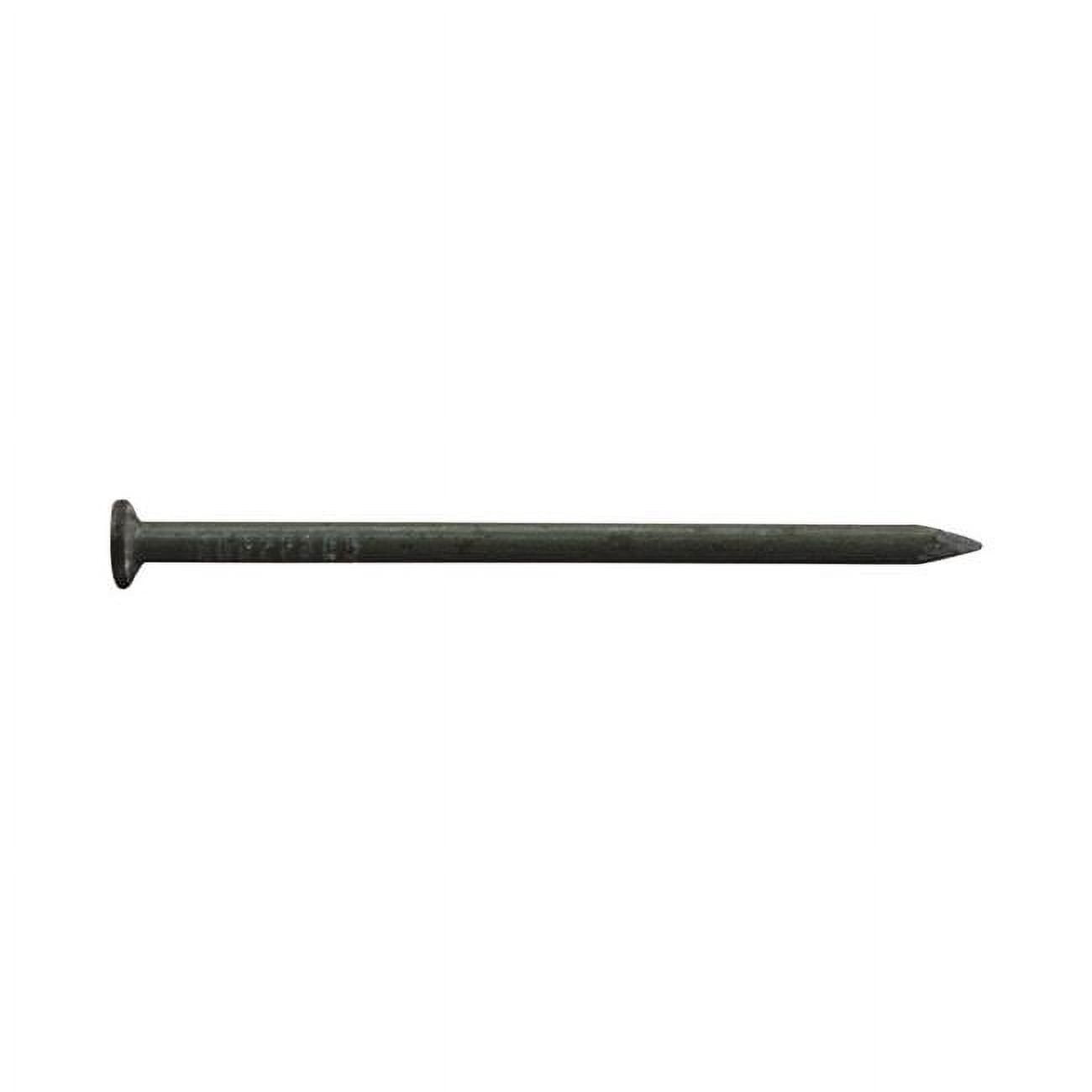 2 in. 6D 1 lbs Common Nail Bracket