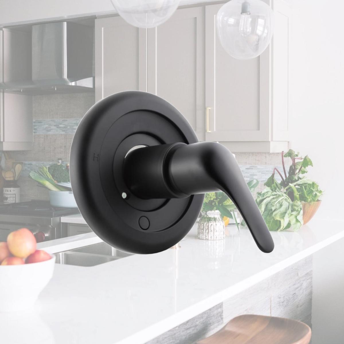 Picture of Danco 4010174 Moen Trim Kit, Black