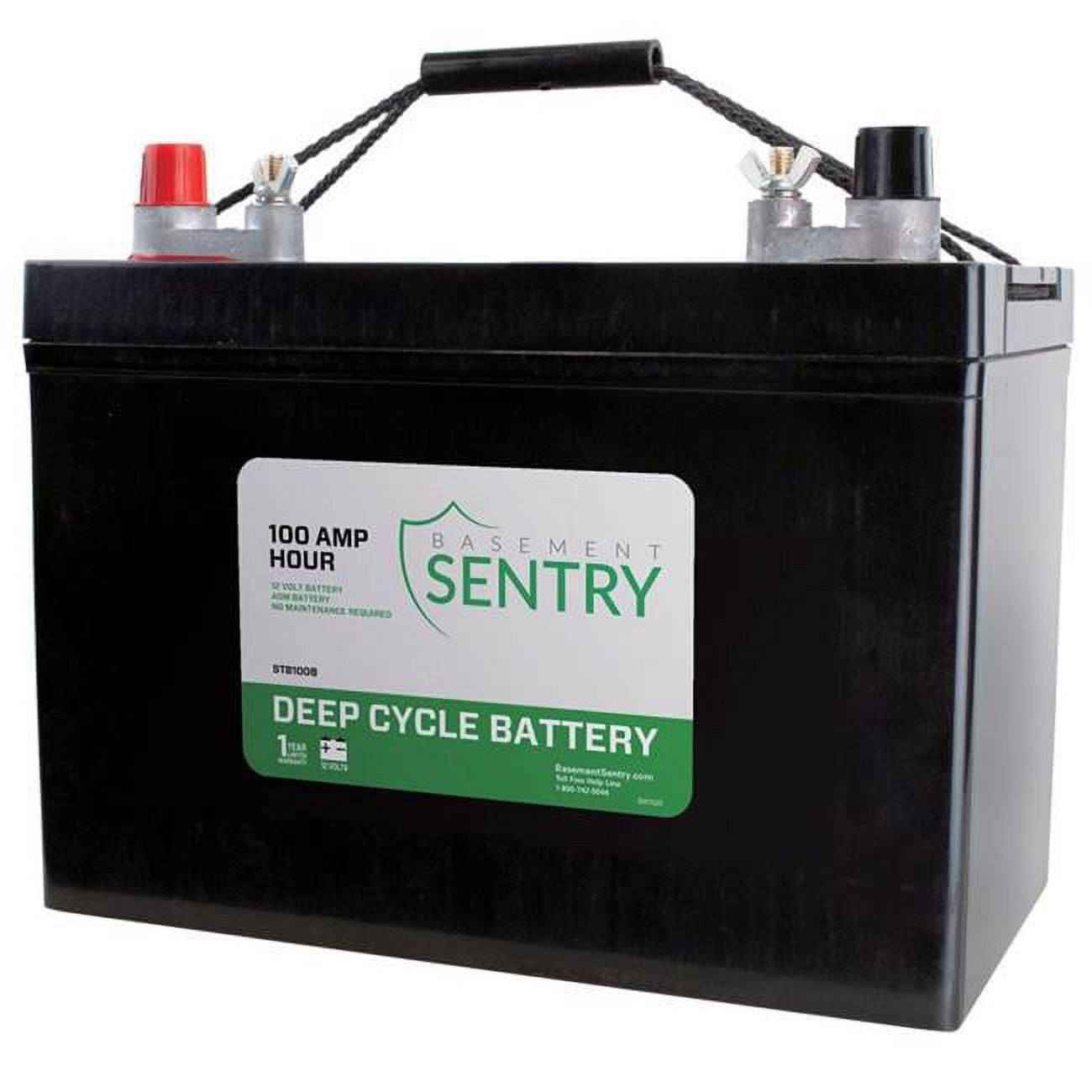 4014407 100A Back-Up Pump Battery