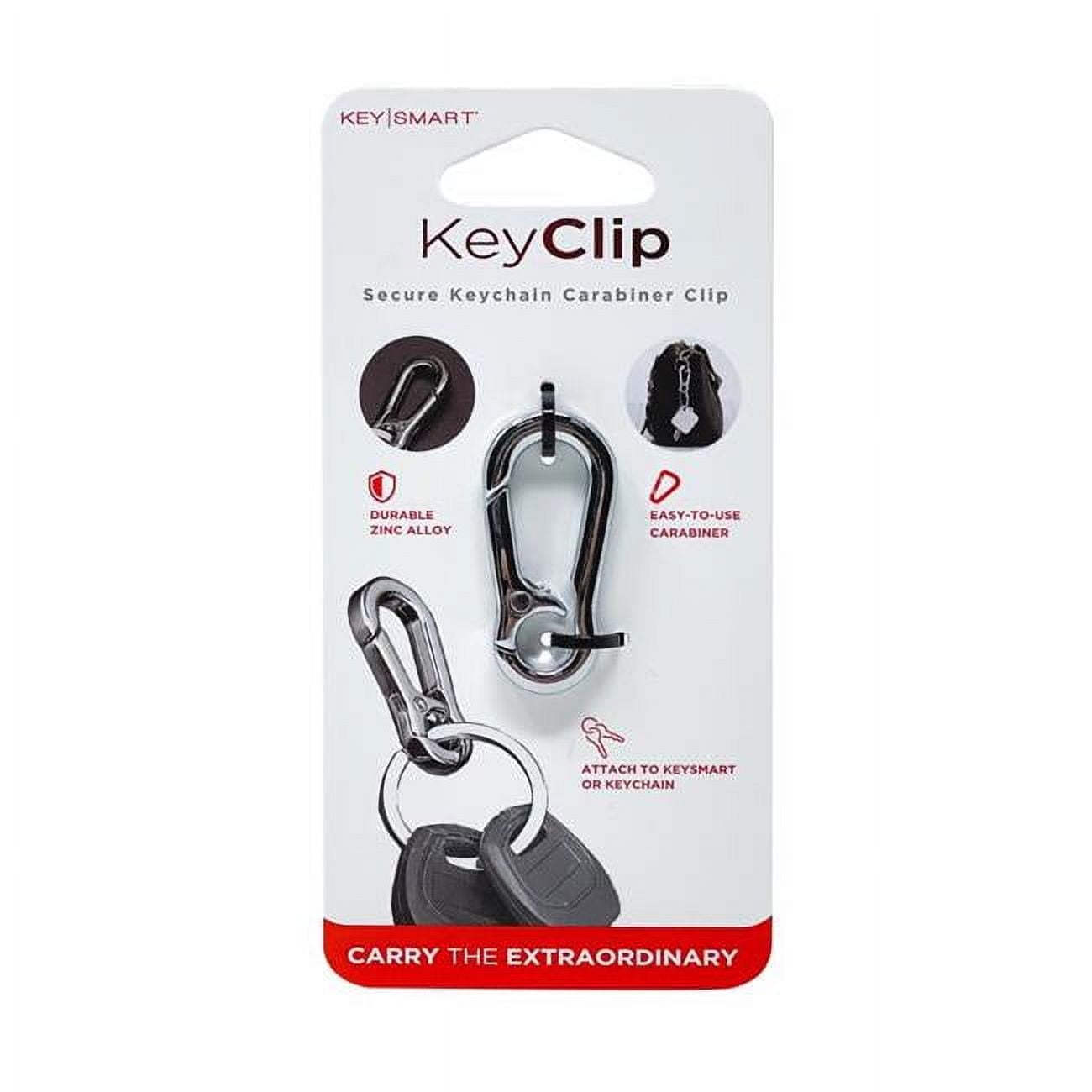 5039907 Clip Stainless Steel Carabiner Key Chain, Silver