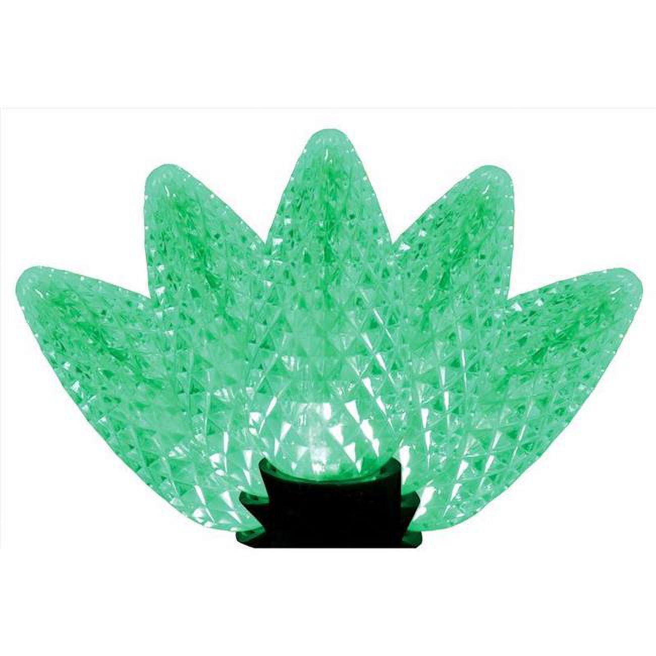 25 ft. Platinum LED C9 String Christmas Lights, Green - 25 Count
