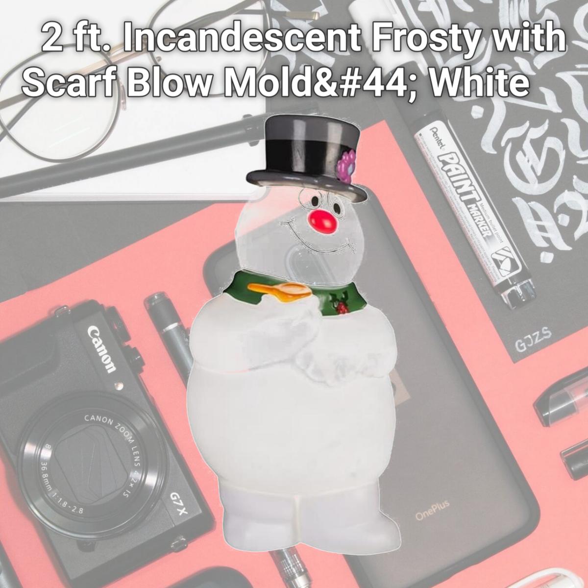 Picture of Warner Brothers 9086233 2 ft. Incandescent Frosty with Scarf Blow Mold&#44; White