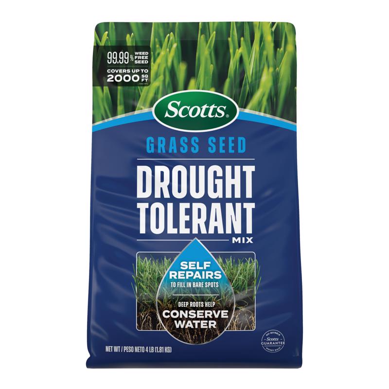 7054673 Mixed Sun or Shade Grass Seed, 4 lbs