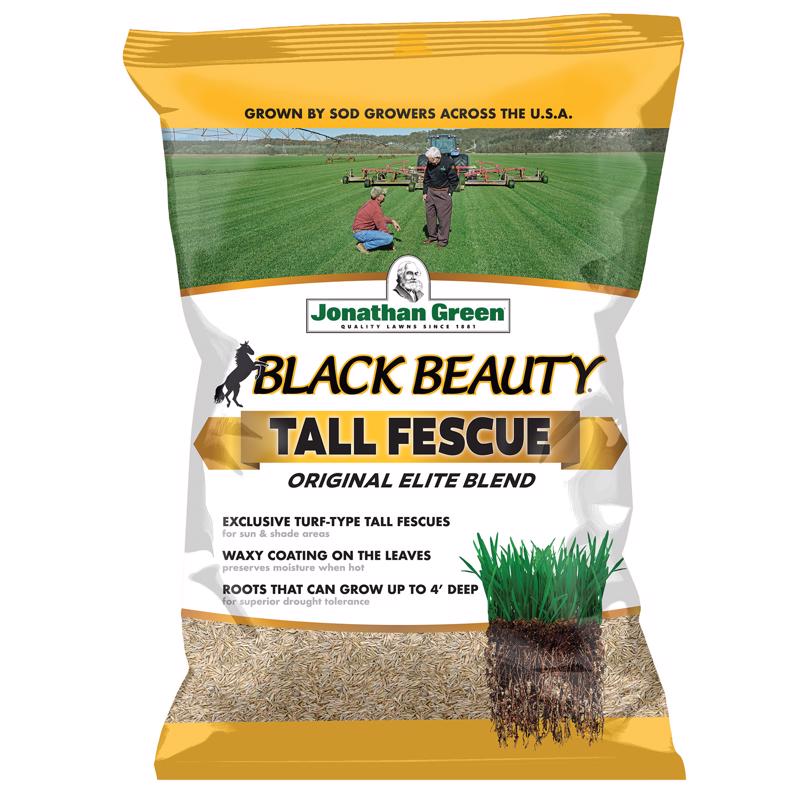 7062994 15 lbs Black Beauty Tall Fescue Grass Sun or Shade Grass Seed