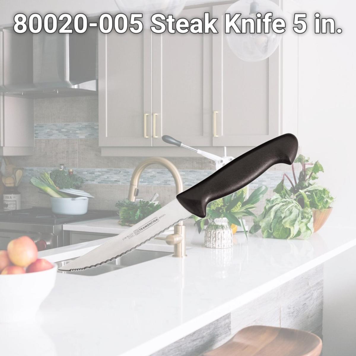 Picture of Tramontina 80020-005 Steak Knife  5 in.
