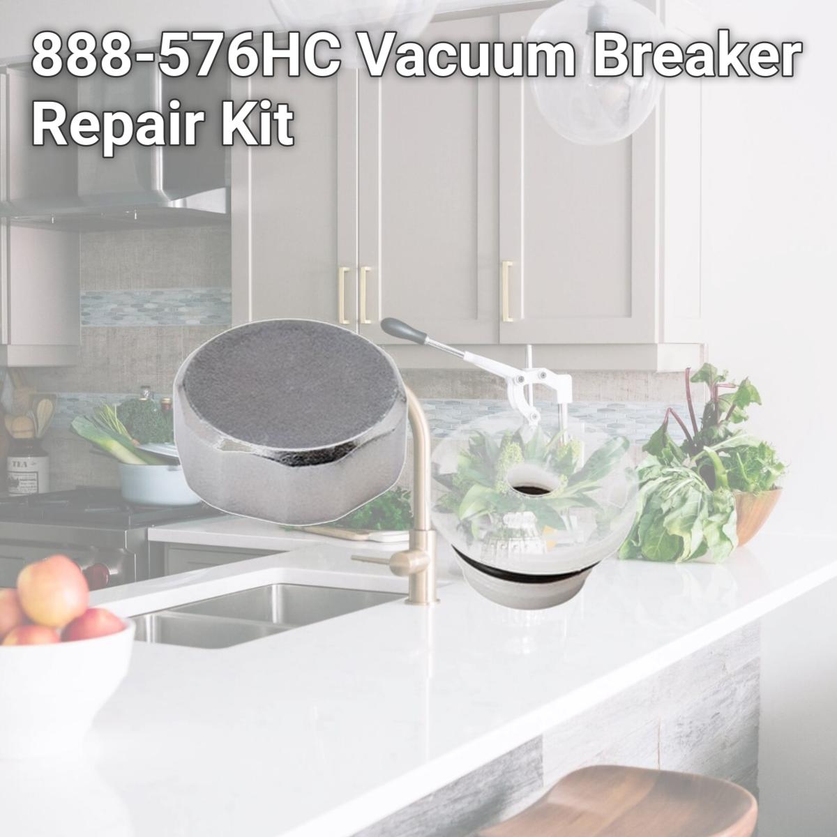 Picture of B &amp; K 888-576HC Vacuum Breaker Repair Kit
