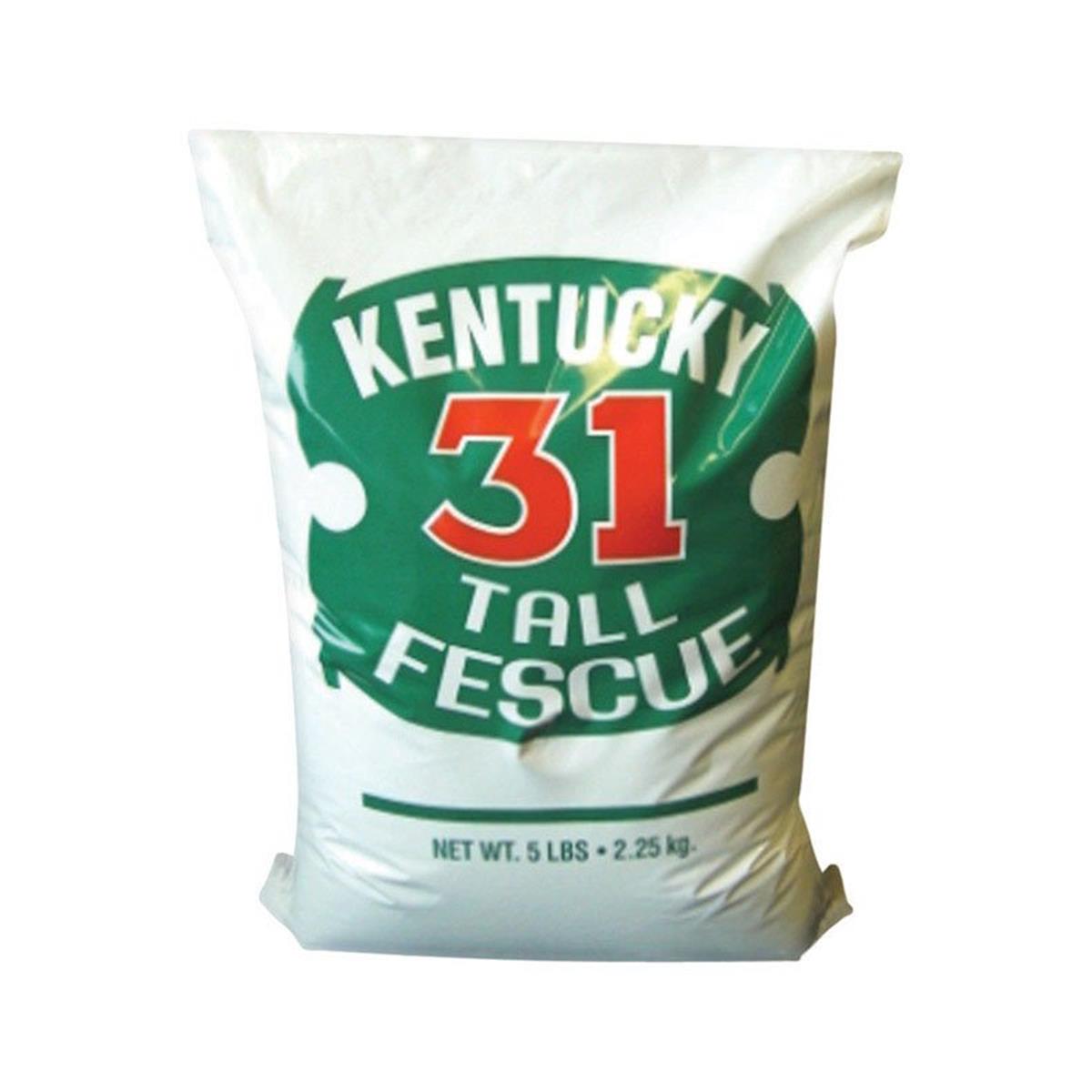 K315ACE00 K-31 Tall Fescue Grass Seed