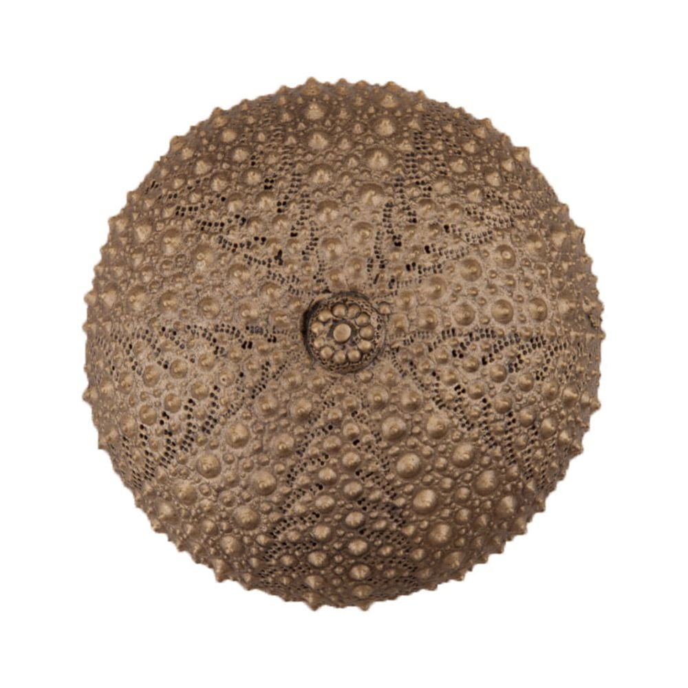 Dp7gp Artisan Collection Sea Urchin Knob, Museum Gold