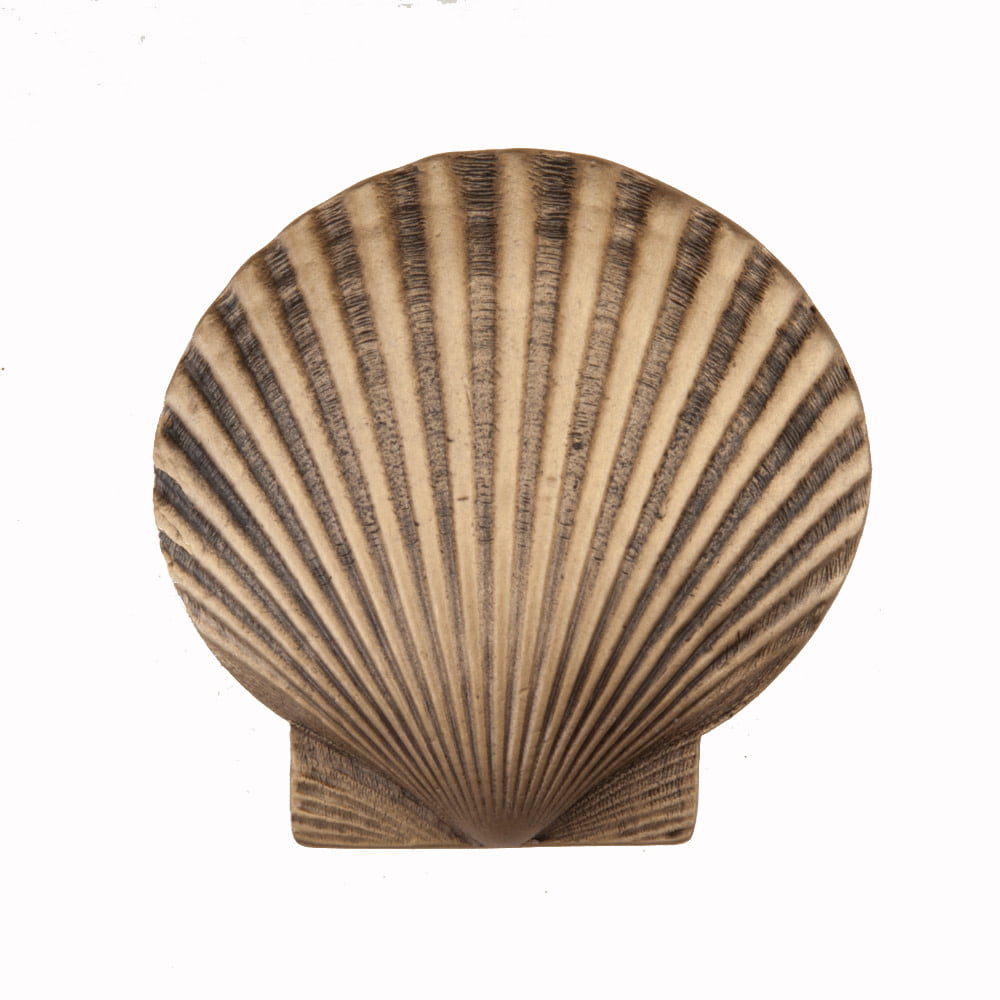 Dpggp Artisan Collection Large Scallop Knob In Museum