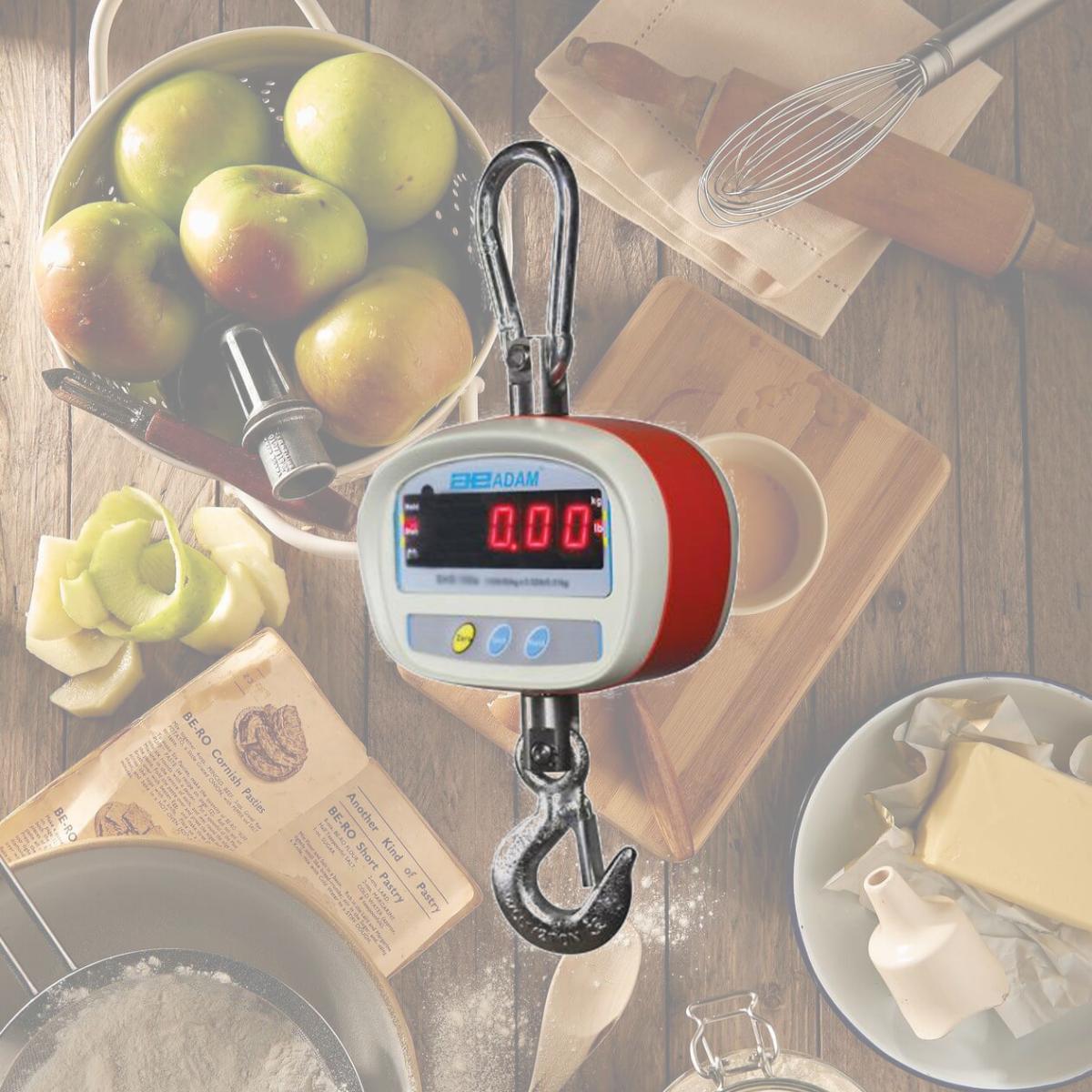 Picture of Adam Equipment SHS-100a Hanging Crane Scale