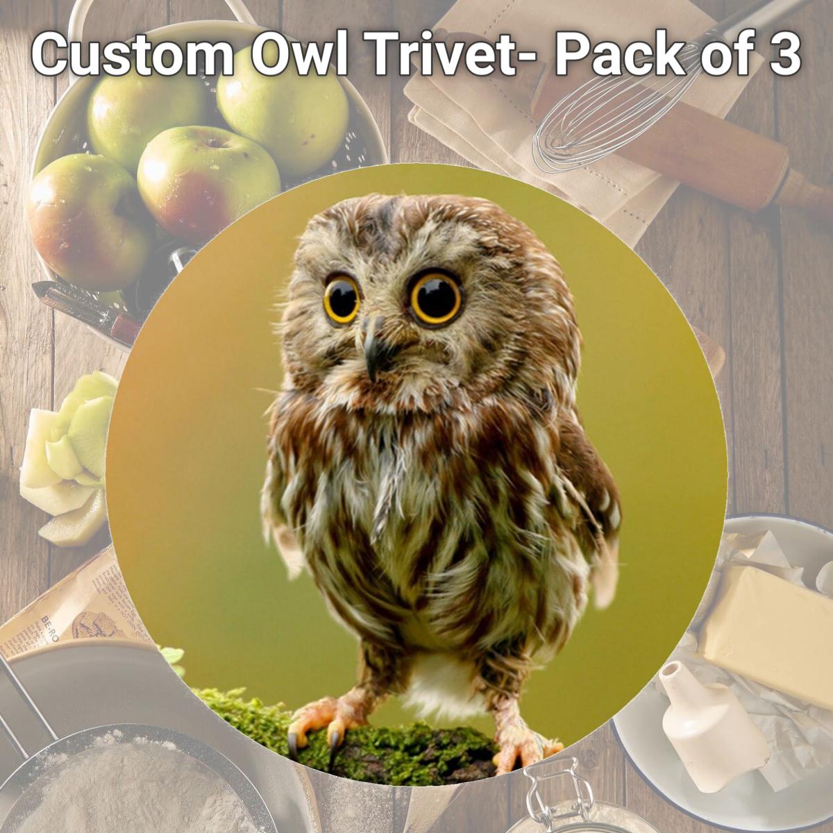 Picture of Andreas TR-CO Custom Owl Trivet- Pack of 3