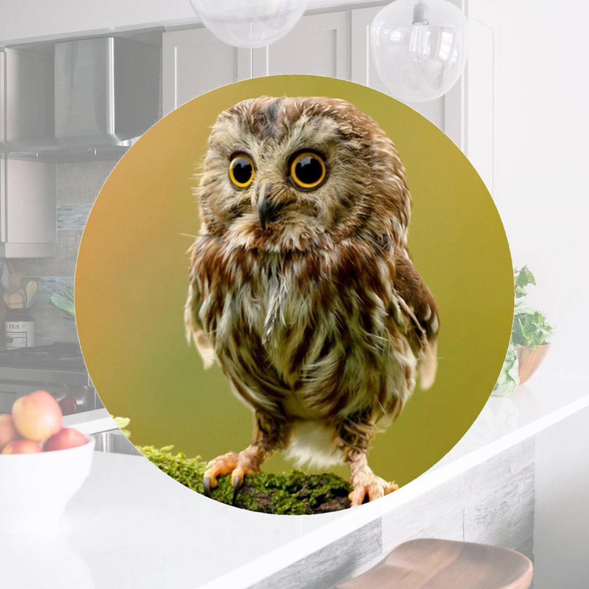 Picture of Andreas TR-CO Custom Owl Trivet- Pack of 3