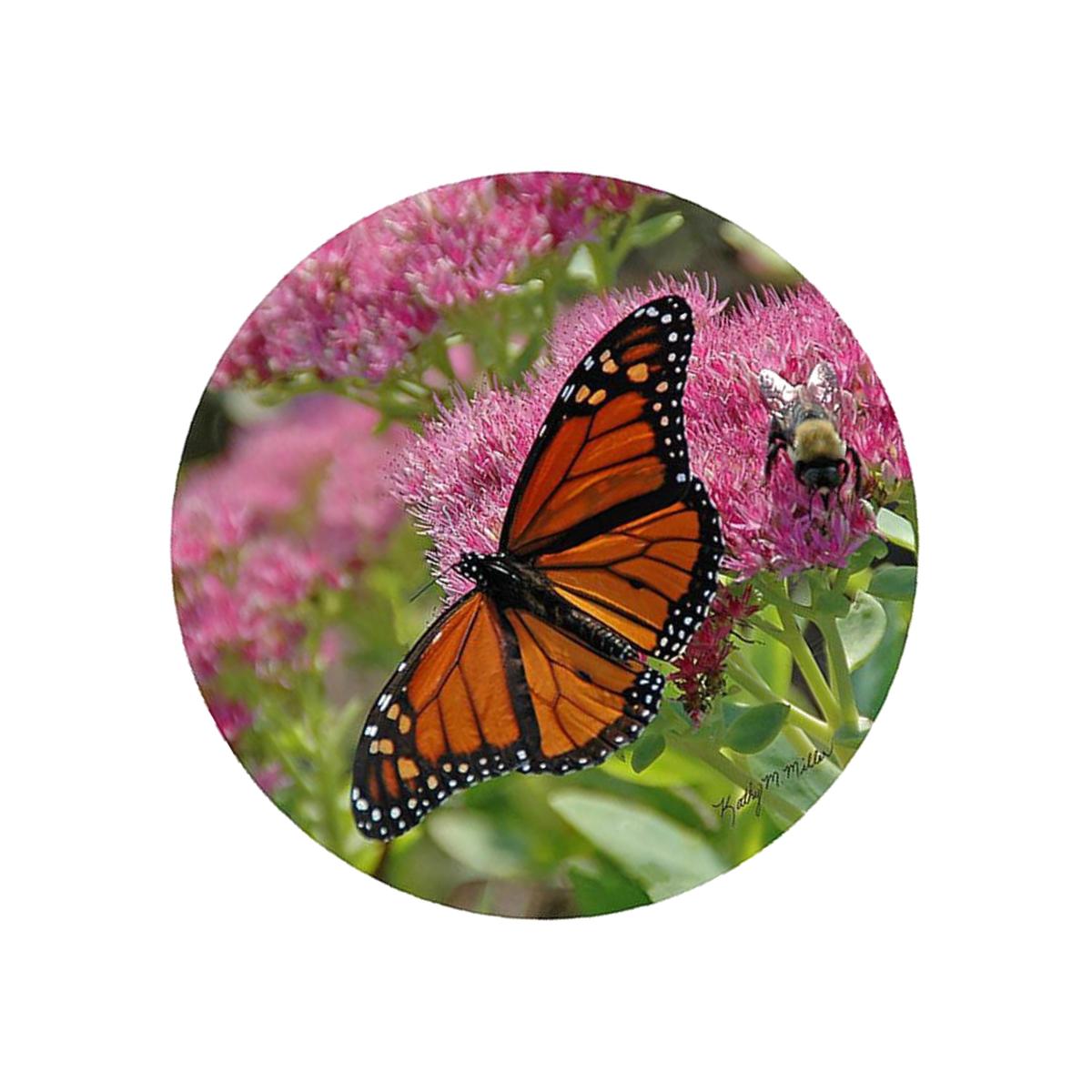 Picture of Andreas TR-KMB1 8 in. Kathy Miller Butterfly Trivet  Round - 3 Pack