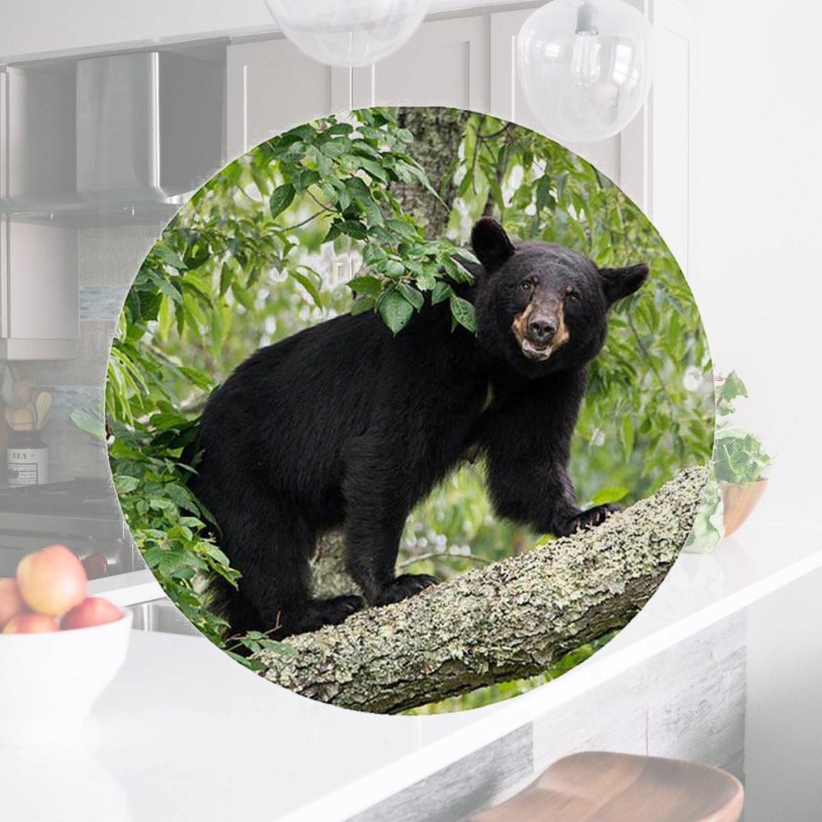 Picture of Andreas TR-BL 8 in. Bear with Leaves Trivet  Round - 3 Pack