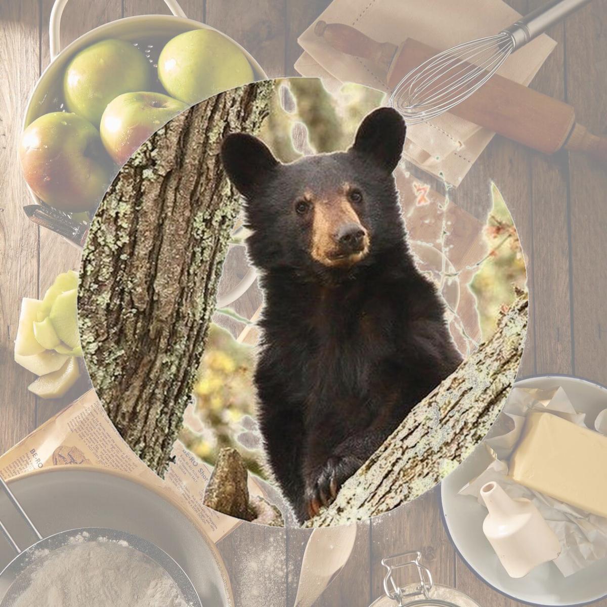 Picture of Andreas TR-BDT 8 in. Bear with Double Tree Trivet  Round - 3 Pack