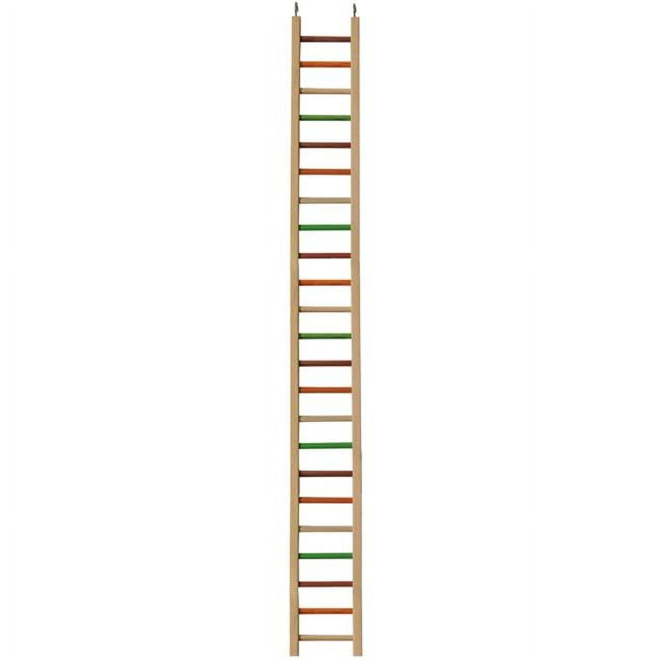 Hb46421 Wooden Hanging Ladder - 50 X 5.25 - 0.5 In.
