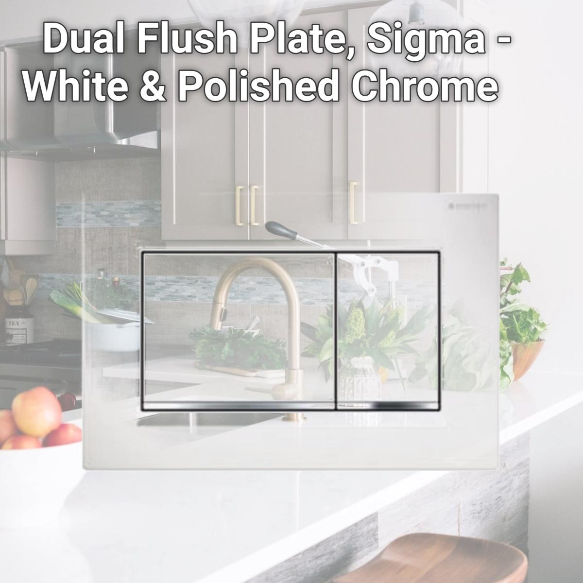 Picture of Geberit 115.883.KJ.1 Dual Flush Plate, Sigma - White & Polished Chrome