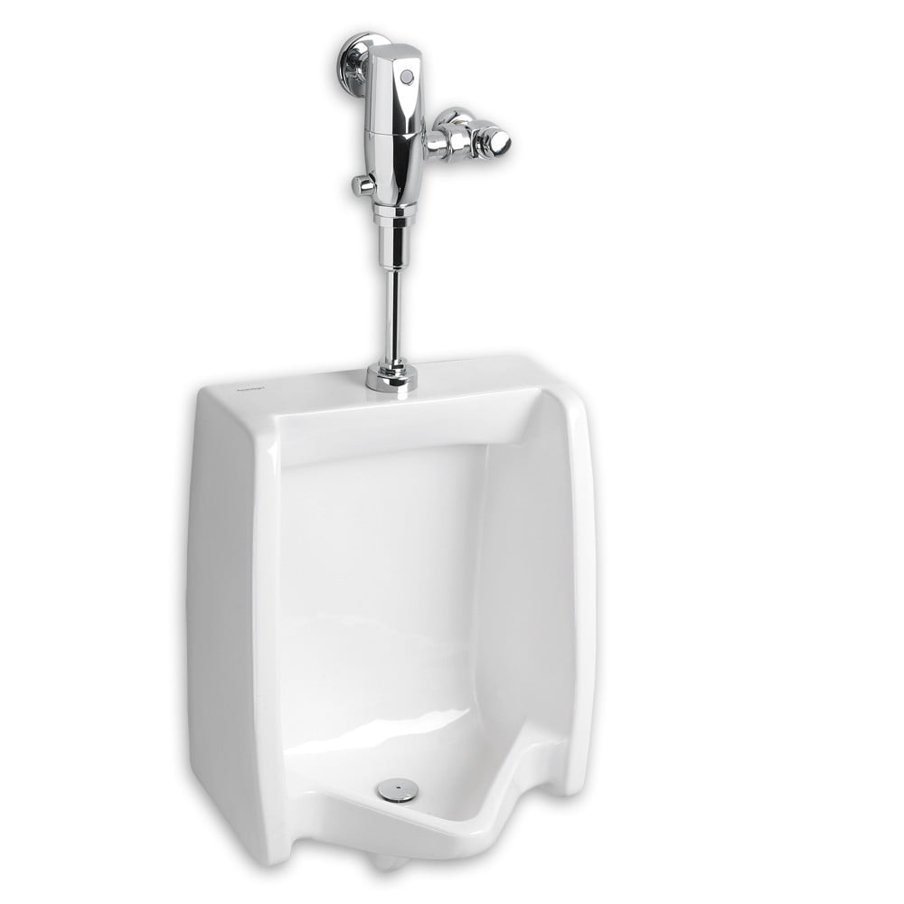 6501610.02 Selectronic Flush Valve Toilet Seat System