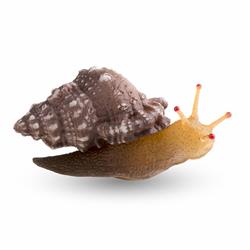 Ak01781 3.5 In. Aquatop Silicone Snail Decor