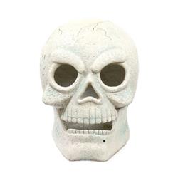 Alpine Corp Sot784l 16 In. Skull With 2 Red Leds & Motion Sensor
