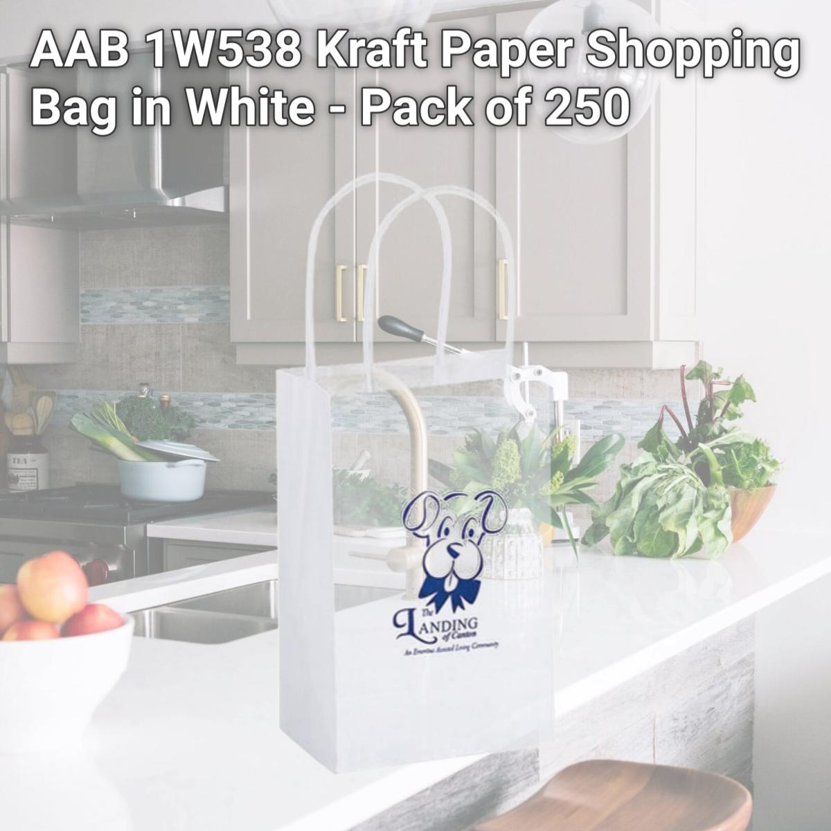 Picture of AAB 1W538 Kraft Paper Shopping Bag in White - Pack of 250