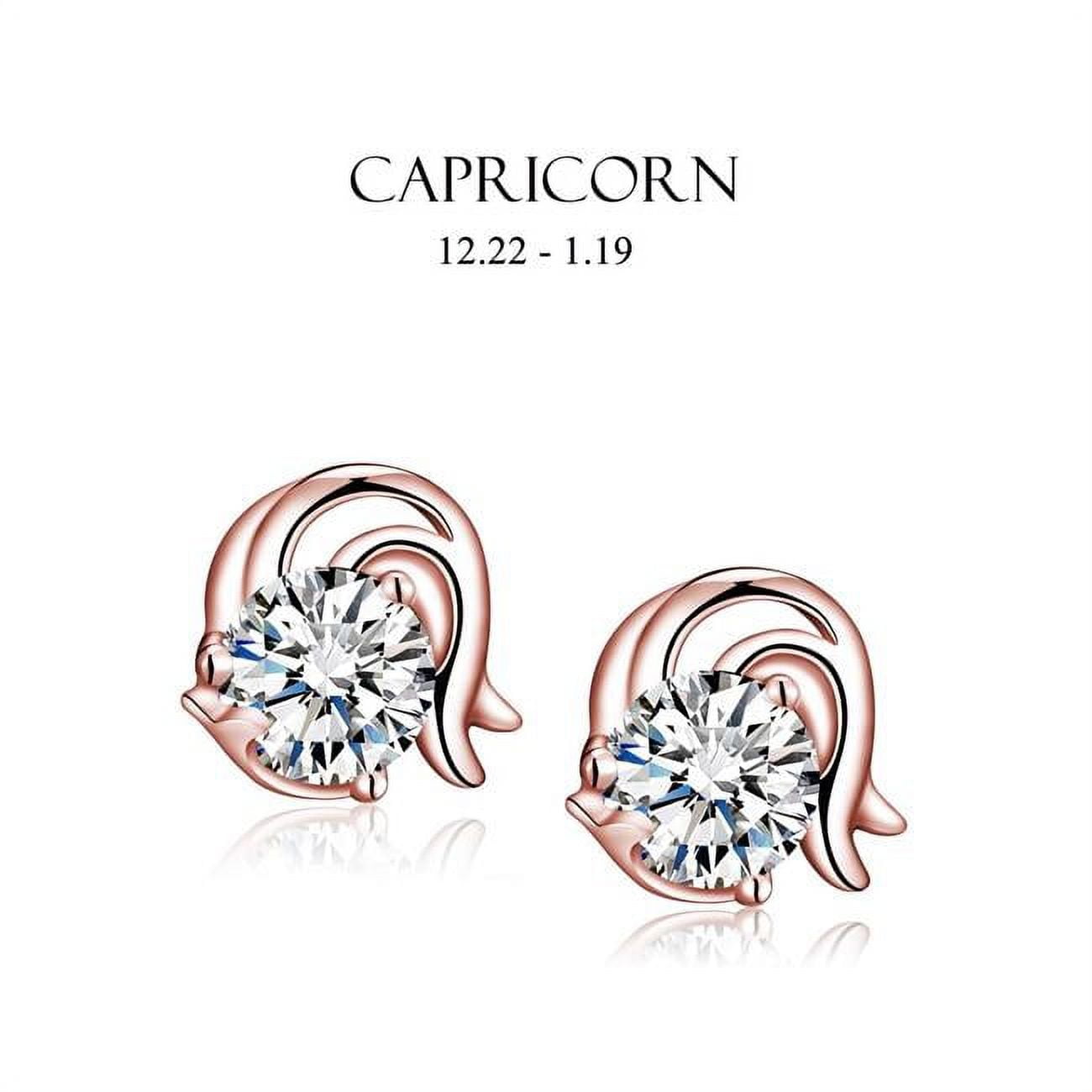 E-i2czcpr-rg Rose Gold Cubic Zirconia Capricorn Stud Earrings