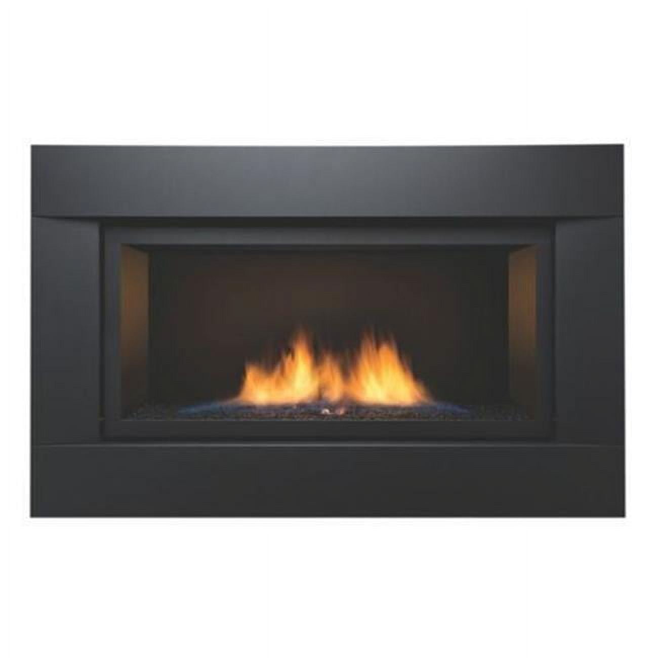 Palisade-36-ng 36 In. See-thru Palisade Linear Direct Vent Gas Fireplace - Natural Gas