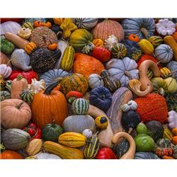 Vermont Christmas 18989x Jigsaw Puzzle Autumn Harvest - 1000 Pieces