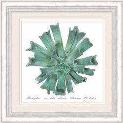188593 Succulent Framed Art - Delight In The Lord, 13.5 X 13.5 In.