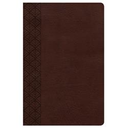 B & H Publishing 16017x Csb Study Bible For Women Leather Touch Indexed Cover, Chocolate