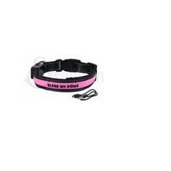 164645 Dog Collar - Bless My Paws - Led Usb & Solar Rechargeable, Medium - Pink