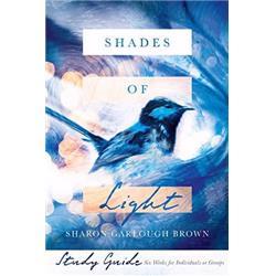 139134 Shades Of Light Study Guide
