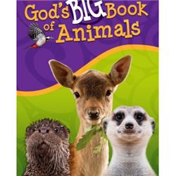 Master Books 154280 Gods Big Book Of Animals